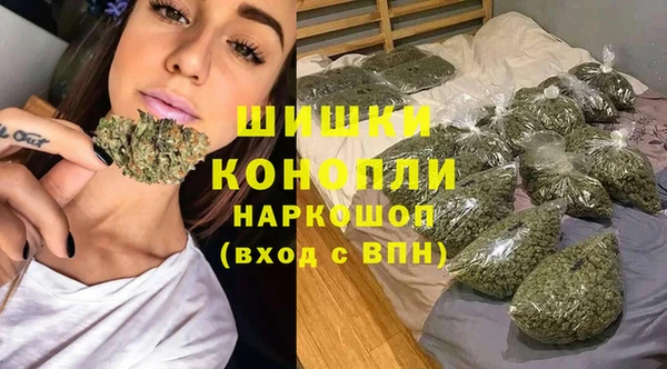 бошки Алексин
