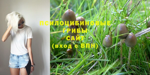 круглые Абаза