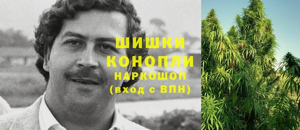 бошки Алексин