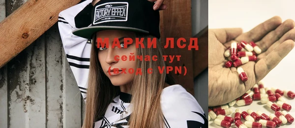 прущие грибы Алзамай